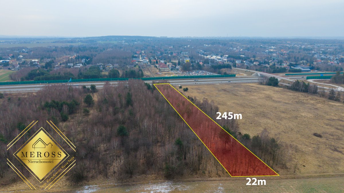 Działka gospodarstwo rolne na sprzedaż Wierzchowisko  5 390m2 Foto 3