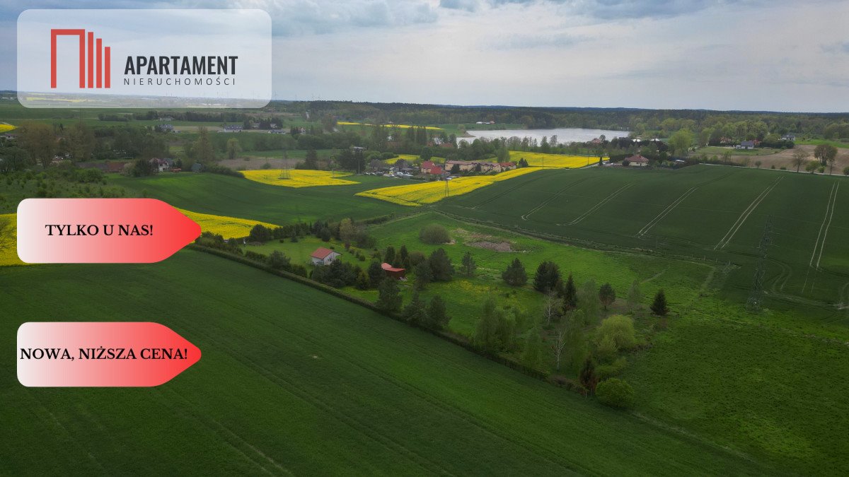 Na sprzedaż działka 1,4 ha z domkiem i infrastrukturą w Koniecwałdzie Koniecwałd  14 727m2 Foto 1