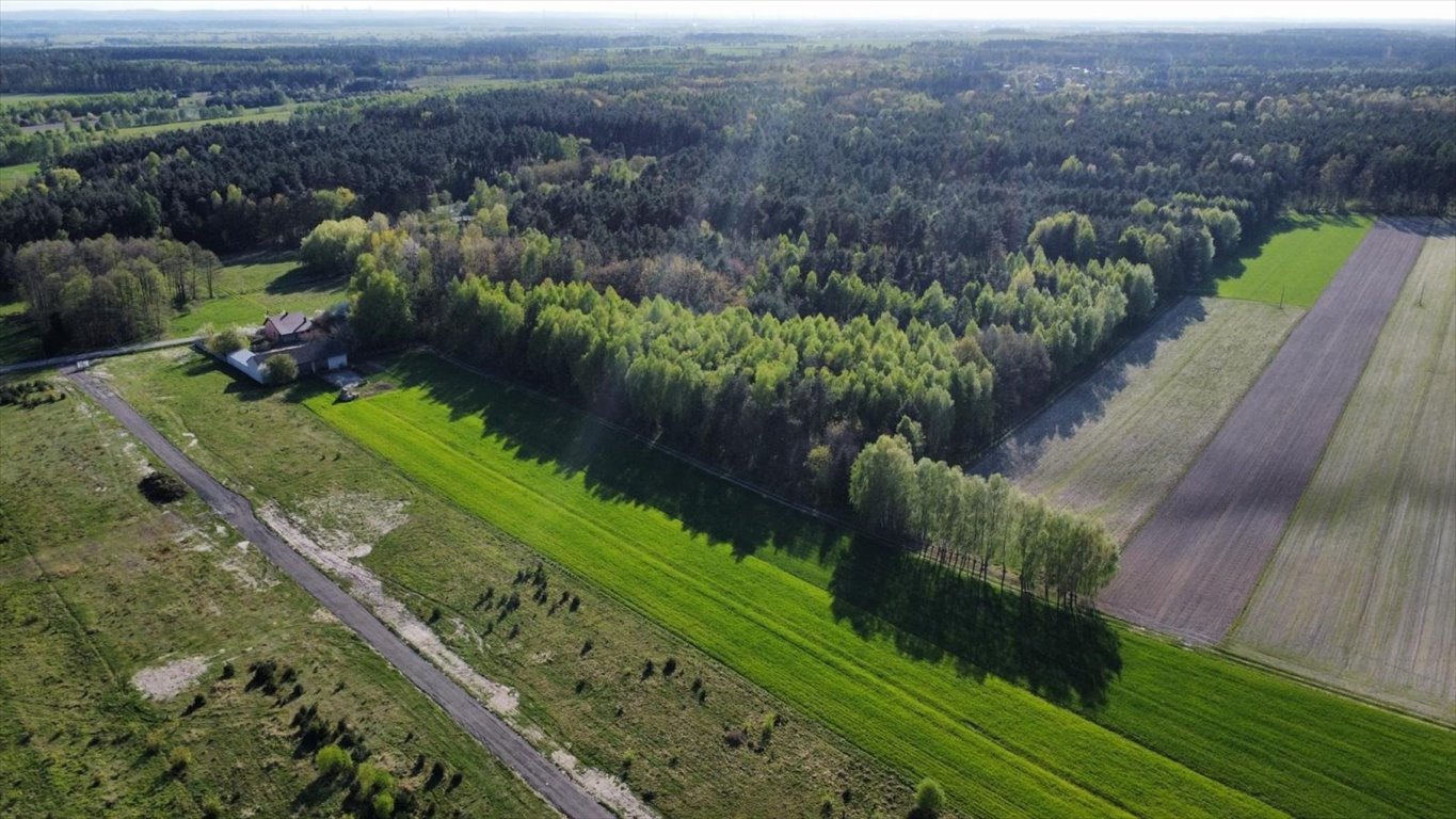 Działka budowlana na sprzedaż częstochowski  754m2 Foto 9