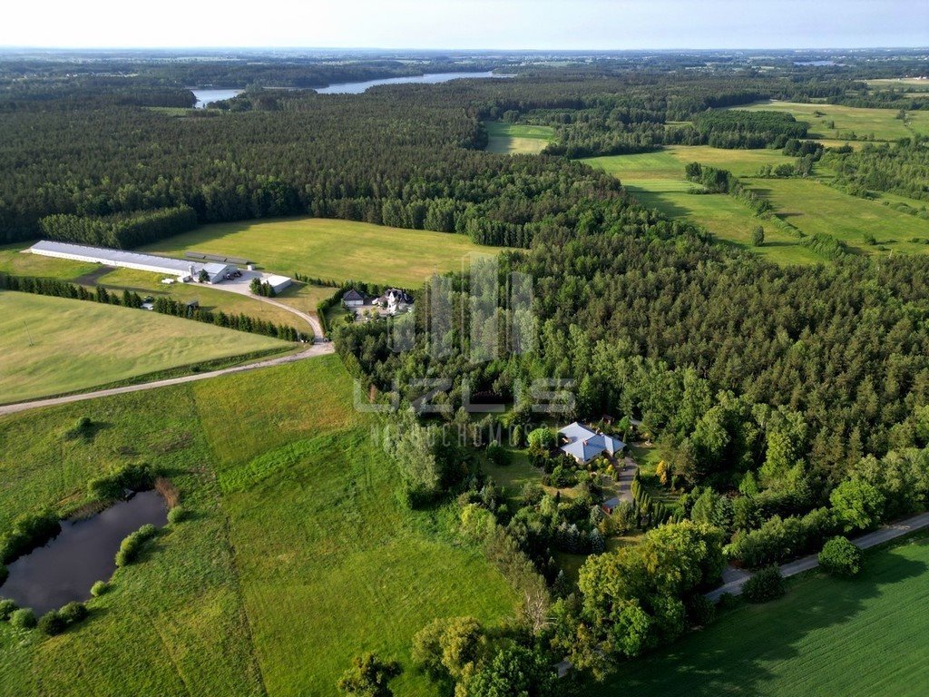 Działka budowlana na sprzedaż Bietowo  3 000m2 Foto 7