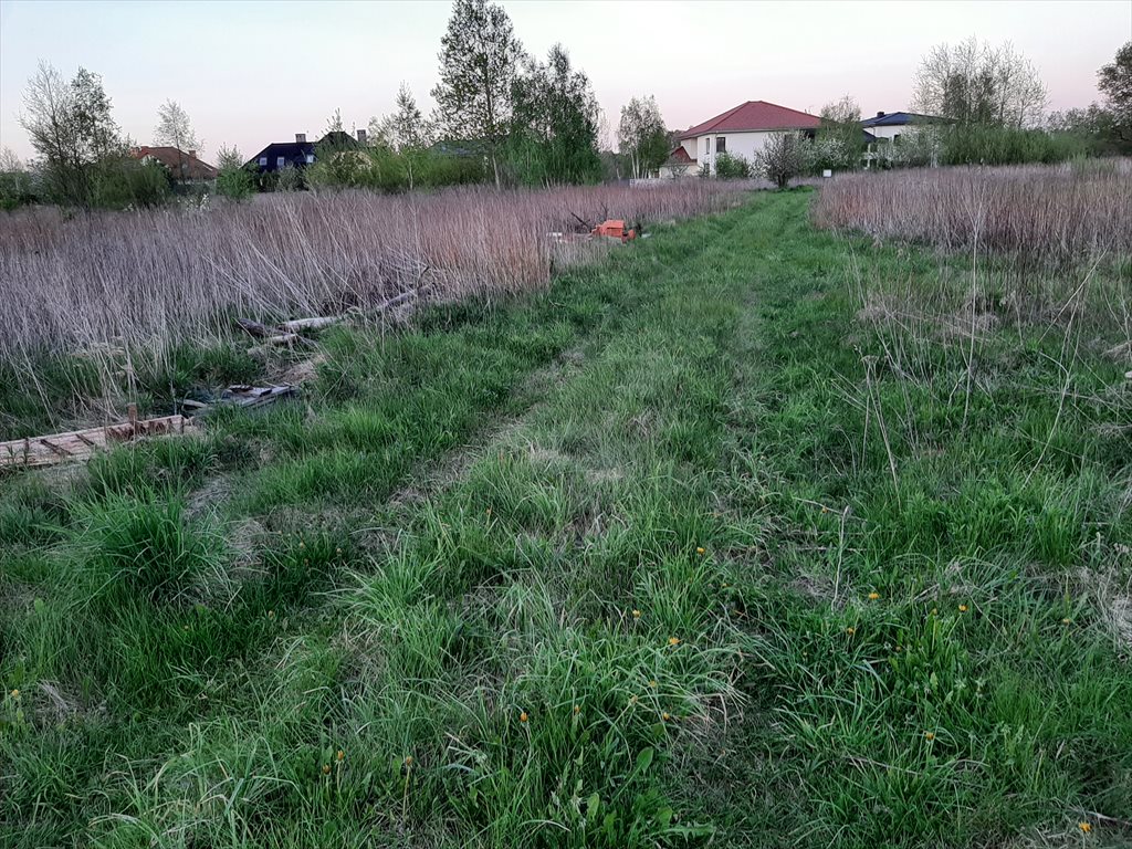 Działka gospodarstwo rolne na sprzedaż Stanisławów Pierwszy  2 400m2 Foto 3