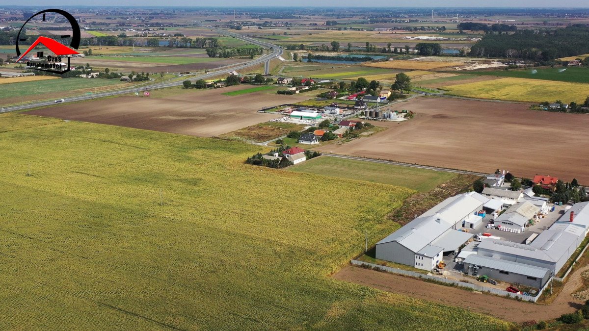 Działka przemysłowo-handlowa na sprzedaż Przedbojewice  1 200m2 Foto 12