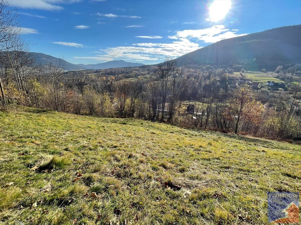Na sprzedaż działka 6097 m² z możliwością zabudowy i letniskowej Gruszowiec  6 097m2 Foto 1