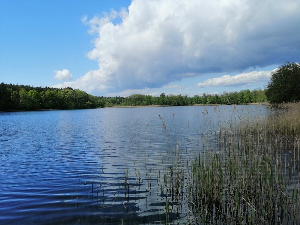Działka nad jeziorem 40 ha z linią 740 m, rekreacja i inwestycje Choszczno  400 000m2 Foto 1