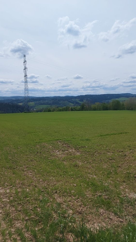 Działka budowlana na sprzedaż Ciężkowice, Ciężkowice, Kąśna Górna  1 000m2 Foto 4