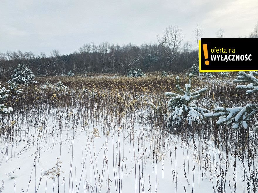 Działki rolne w Osieku – idealne pod gospodarstwo lub rekreację Osiek  8 595m2 Foto 1