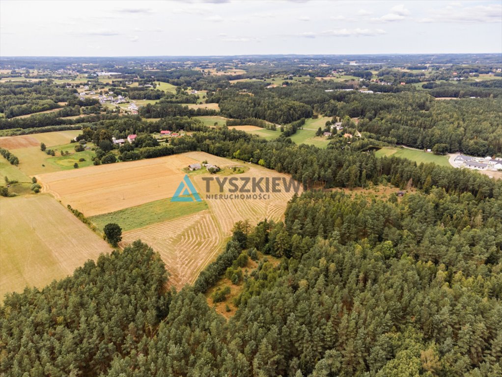 Działka rolna na sprzedaż Załęże, Kasztanowa  3 000m2 Foto 11