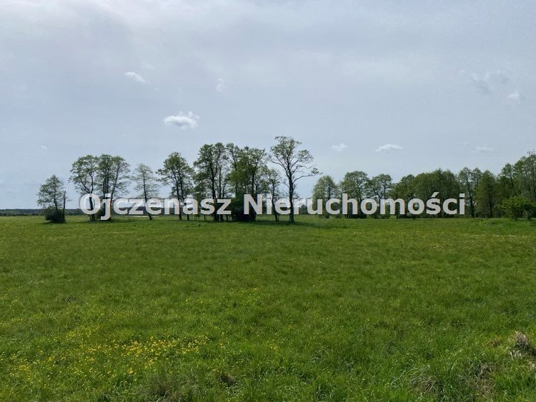 Działka rolna na sprzedaż Brzoza  16 700m2 Foto 1