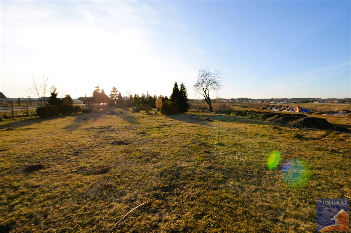 Działka budowlana na sprzedaż Orzesze  1 003m2 Foto 5