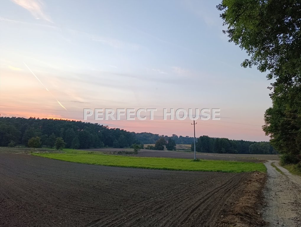 Polecam działki 2485 m² pod lasem z WZ na dom w Lutomku Lutomek, Międzychodzka  2 485m2 Foto 1