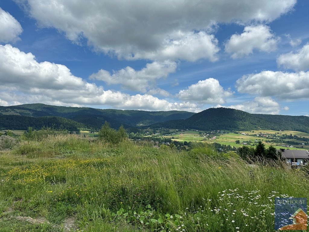 Działka budowlana na sprzedaż Pisarzowa  7 200m2 Foto 20