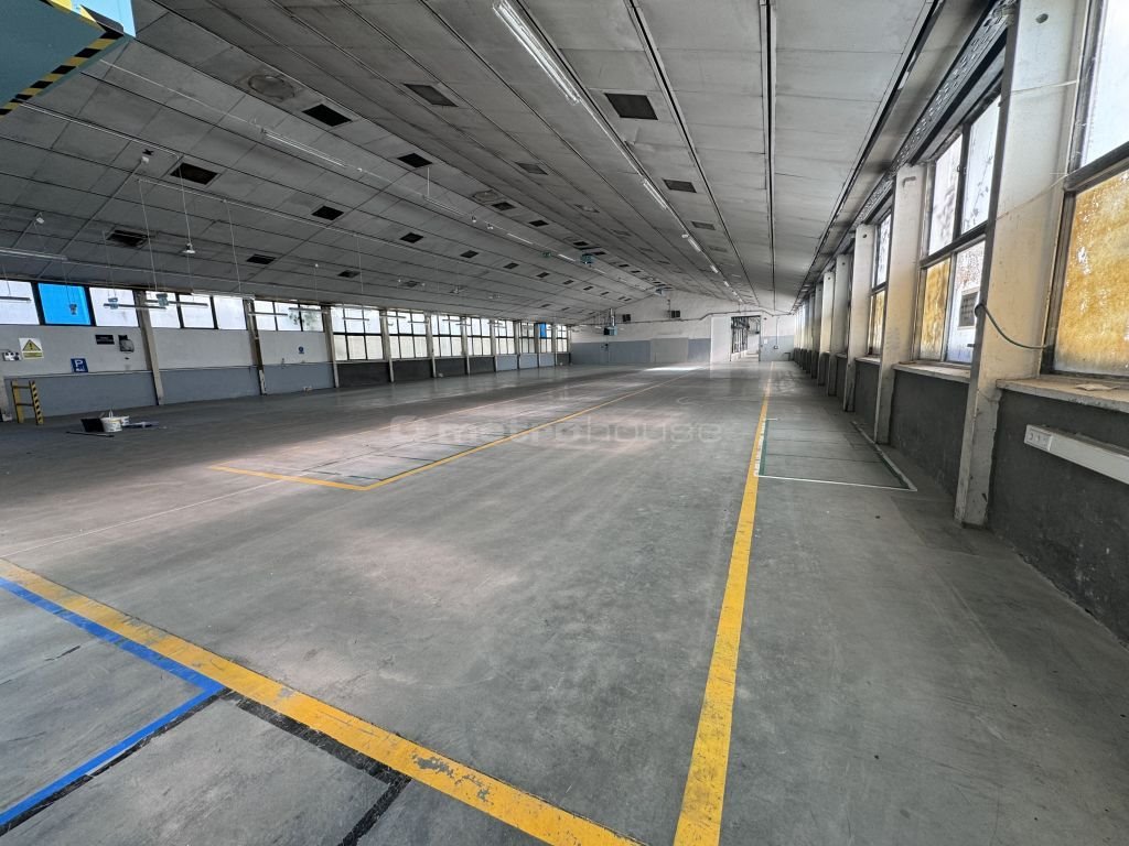 Lokal użytkowy na wynajem Nowa Wieś Lęborska  1 600m2 Foto 9