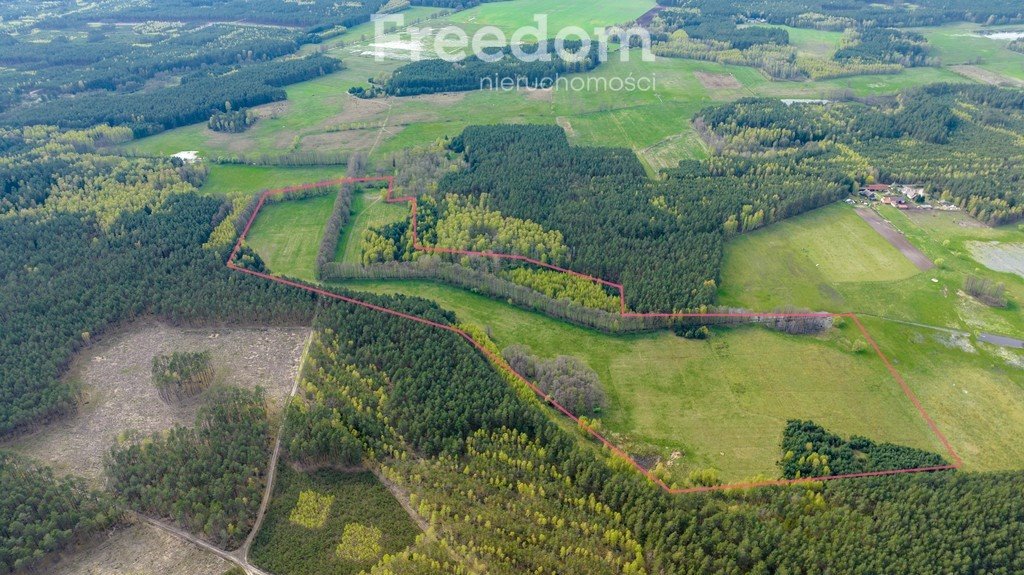 Działka rolna na sprzedaż Przeździęk Wielki  158 700m2 Foto 2