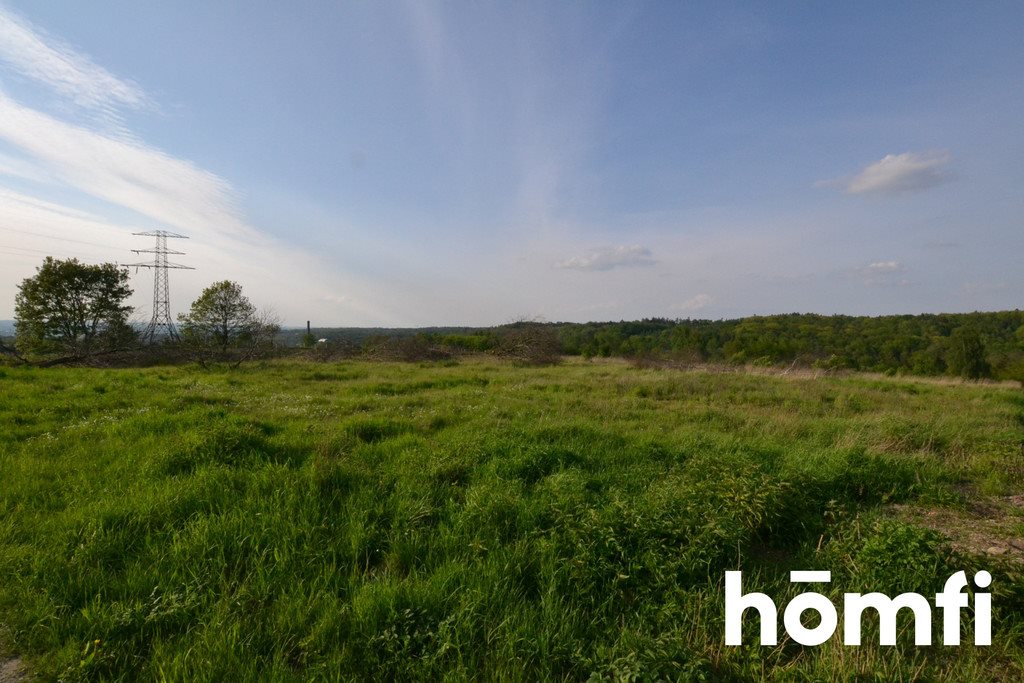 Działka inwestycyjna 19 280 m2 z dostępem do jeziora. Rzeczyce, Wiejska  19 280m2 Foto 1