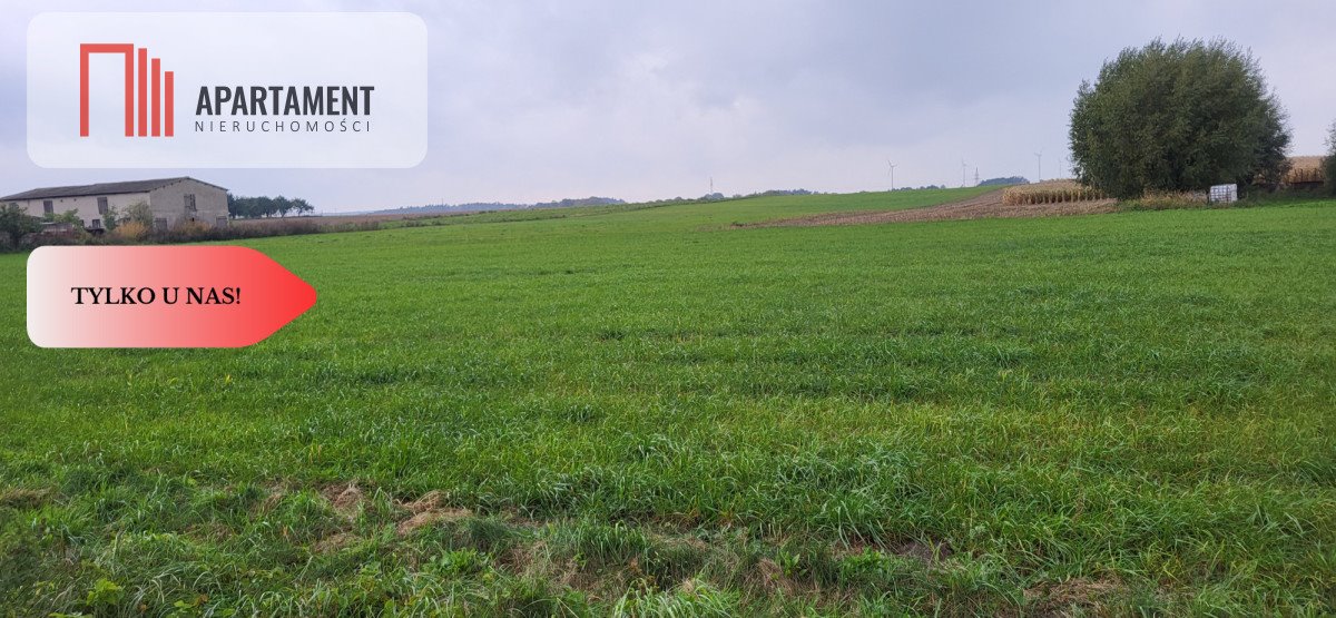 Do sprzedania działka budowlana 1015 m² z dostępem do asfaltu Wyrzysk Skarbowy  1 015m2 Foto 1