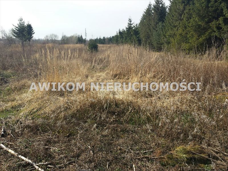 Działka rolna 20ha z możliwością zabudowy i usług agro Mszczonów, Szeligi  20 200m2 Foto 1