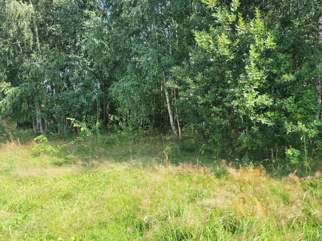 Działka rolna na sprzedaż Tereszyn  3 100m2 Foto 7