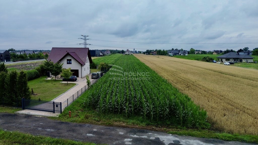 Działka budowlana na sprzedaż Paniówki, Skotnicka  2 500m2 Foto 2