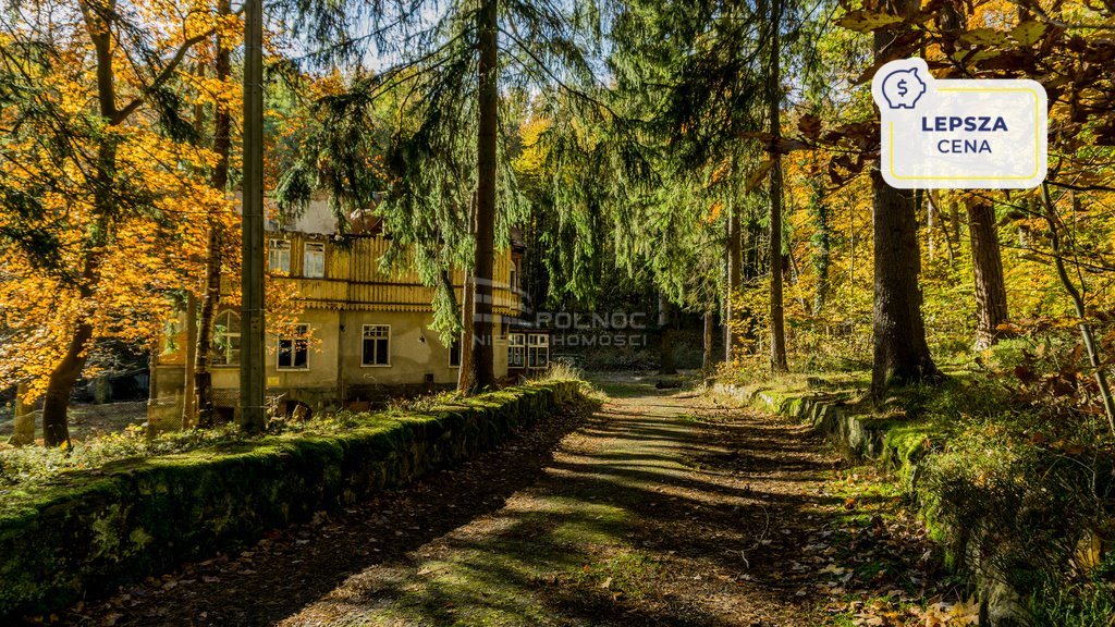 Działka budowlana na sprzedaż Polanica-Zdrój, Piastowska  7 998m2 Foto 1