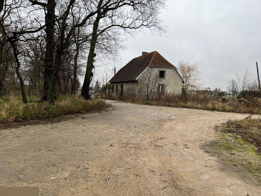 Działka inna na sprzedaż Świecie  33 000m2 Foto 5