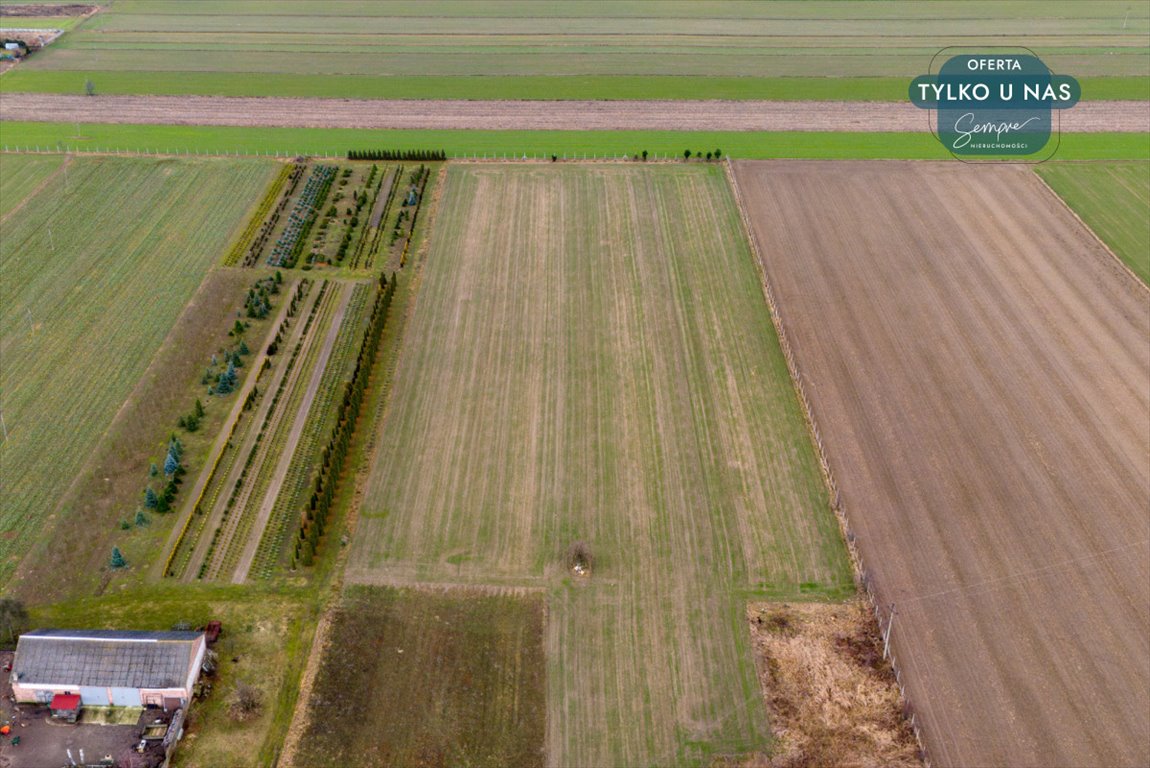 Działka budowlana na sprzedaż Paprotnia  1 000m2 Foto 2