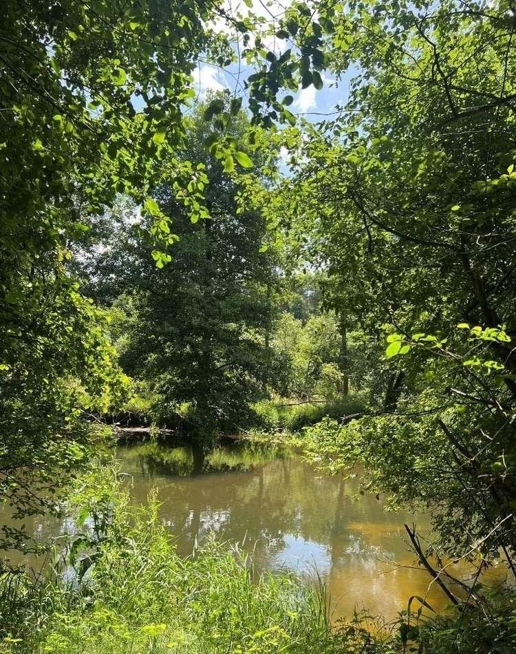 Działka rekreacyjna na sprzedaż Dworszowice Kościelne  780m2 Foto 8