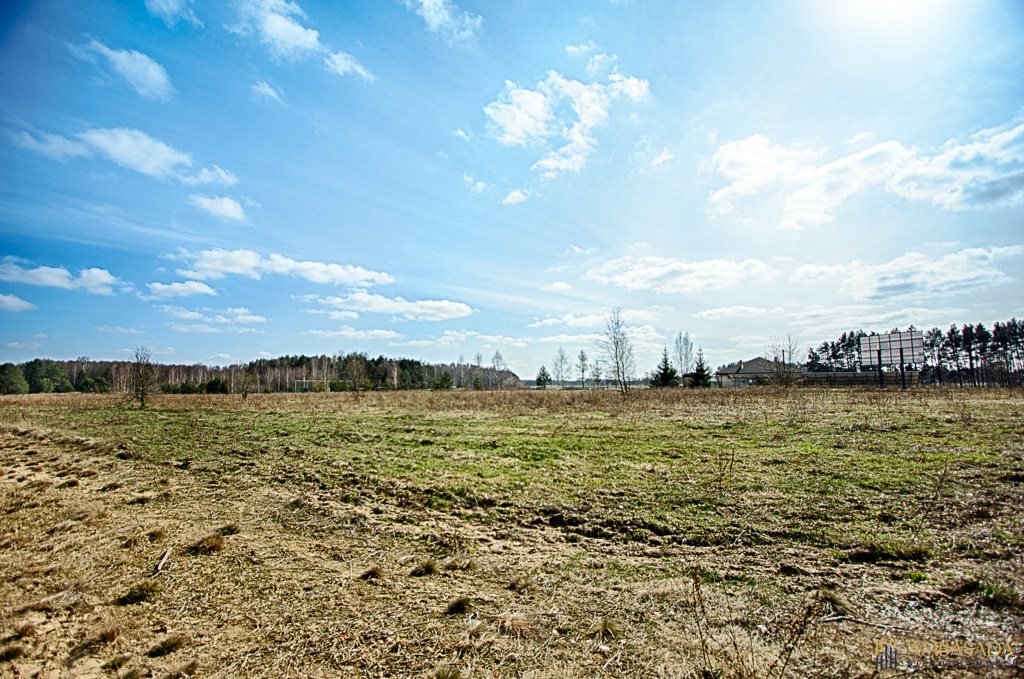 Działka inna na sprzedaż Zarzeczany  3 000m2 Foto 4