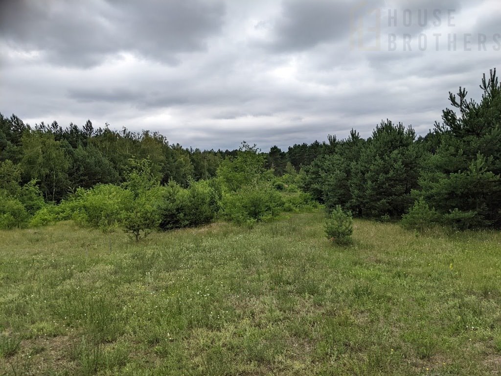 Działka budowlana na sprzedaż Chełsty  1 000m2 Foto 4