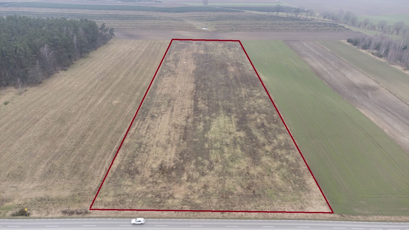 Działka rolna 2,6 ha przy drodze, inwestycja lub rekreacja Kuleszewo  26 163m2 Foto 1