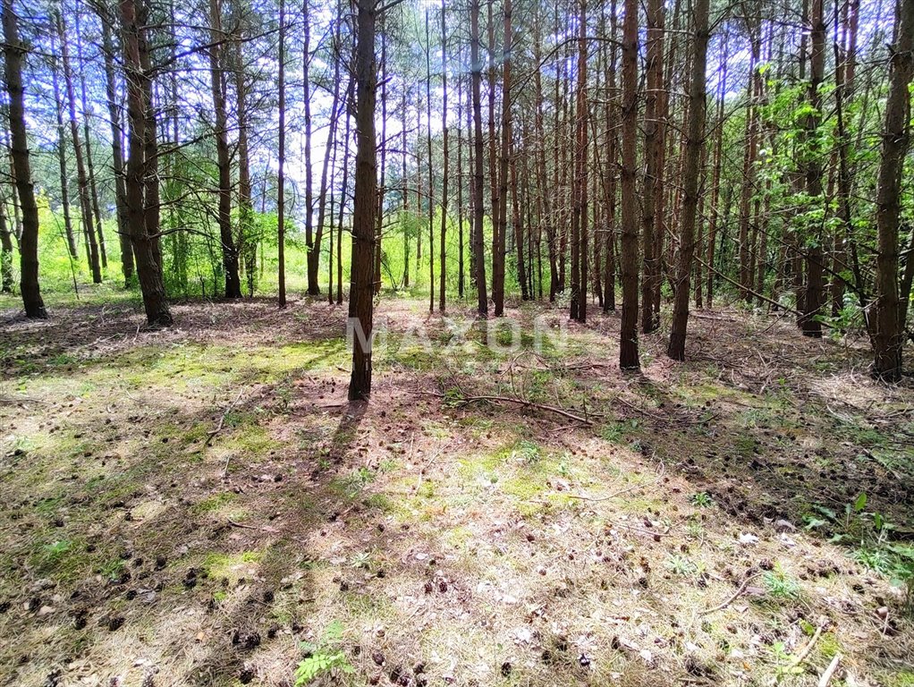 Działka budowlana na sprzedaż Wierzbica  2 228m2 Foto 9