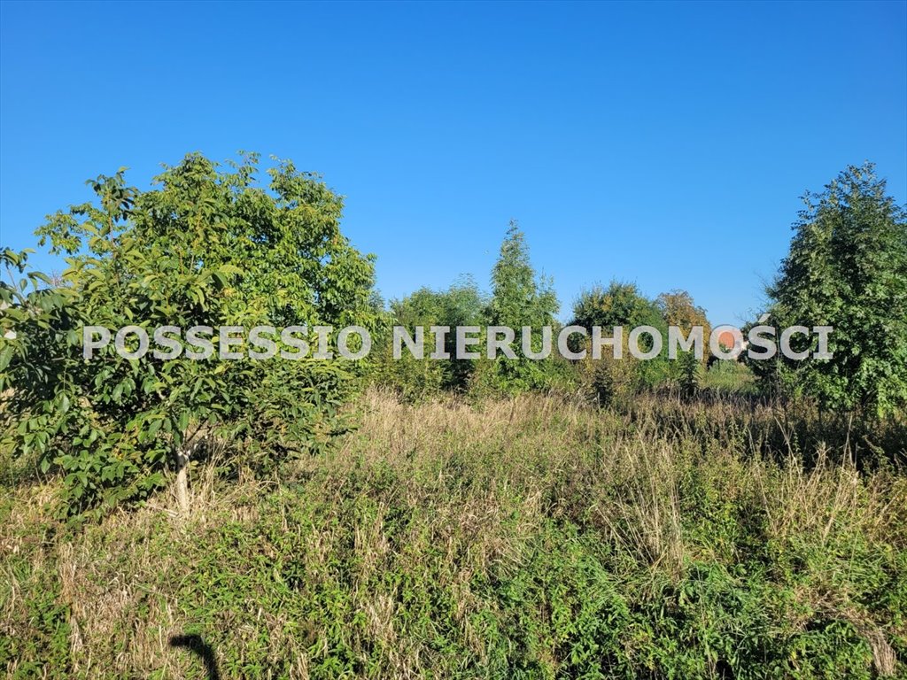 Działka 0,44 ha pod zabudowę i agroturystykę w Strzegomiu Strzegom  4 427m2 Foto 1