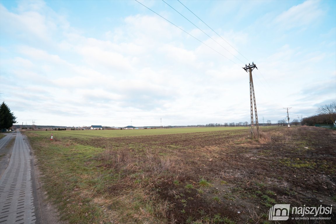 Działka rolna na sprzedaż Żółwia Błoć, Wieś  15 100m2 Foto 3