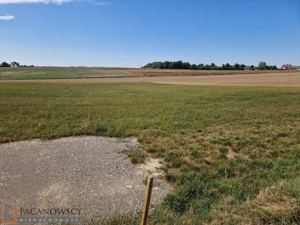 Działka budowlana na sprzedaż Sieciechowice  2 505m2 Foto 1