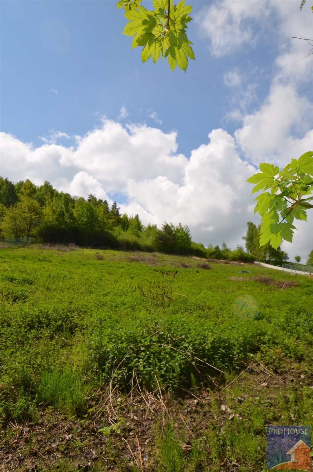 Polecam działkę 1000 m² w Szyku z planem mieszkaniowo-usługowym Szyk  1 000m2 Foto 1
