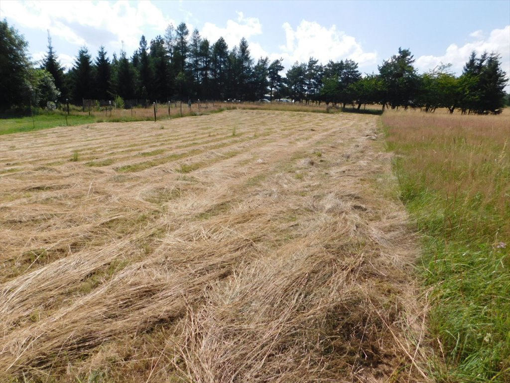 Działka budowlana na sprzedaż Duszniki-Zdrój  2 622m2 Foto 2