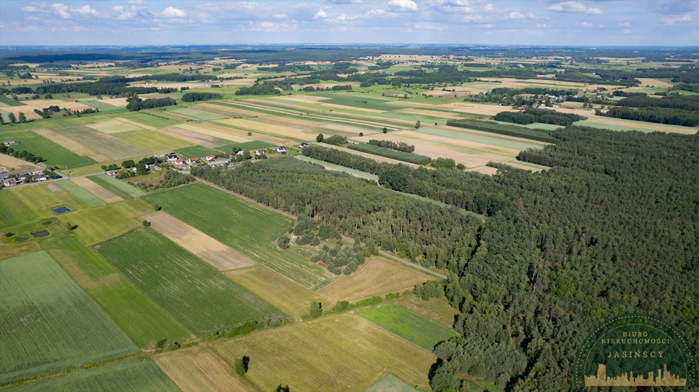 Działka inna na sprzedaż Czarnocin, Czarnocin  20 385m2 Foto 8