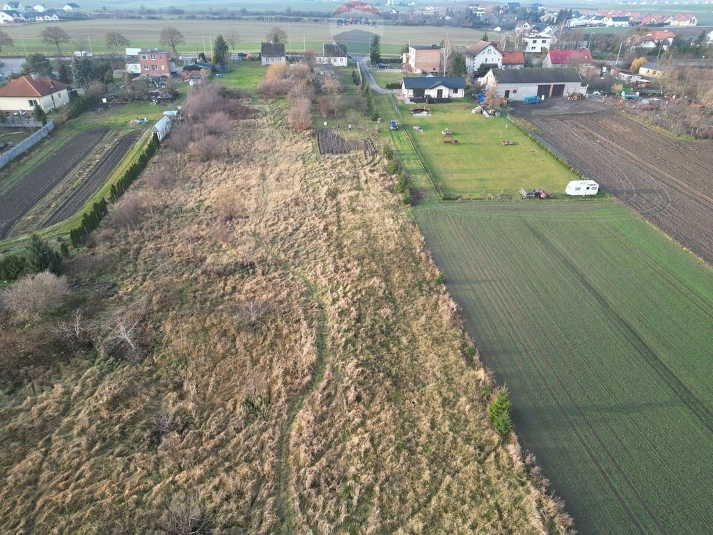 Działka komercyjna na sprzedaż Skowarcz  10 000m2 Foto 3