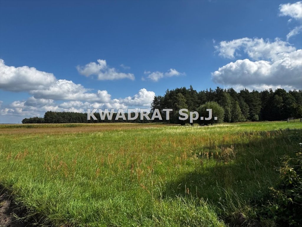 Działka 4100 m² pod dom w Bierzowie - zapraszam: Ostrzeszów Bierzów