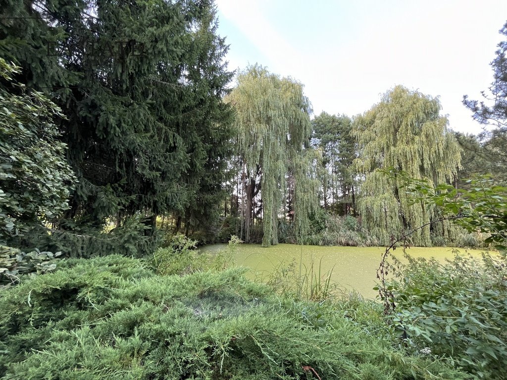 Działka z domem, stawem i dużym ogrodem w Dłużewie. Dłużew  5 212m2 Foto 1