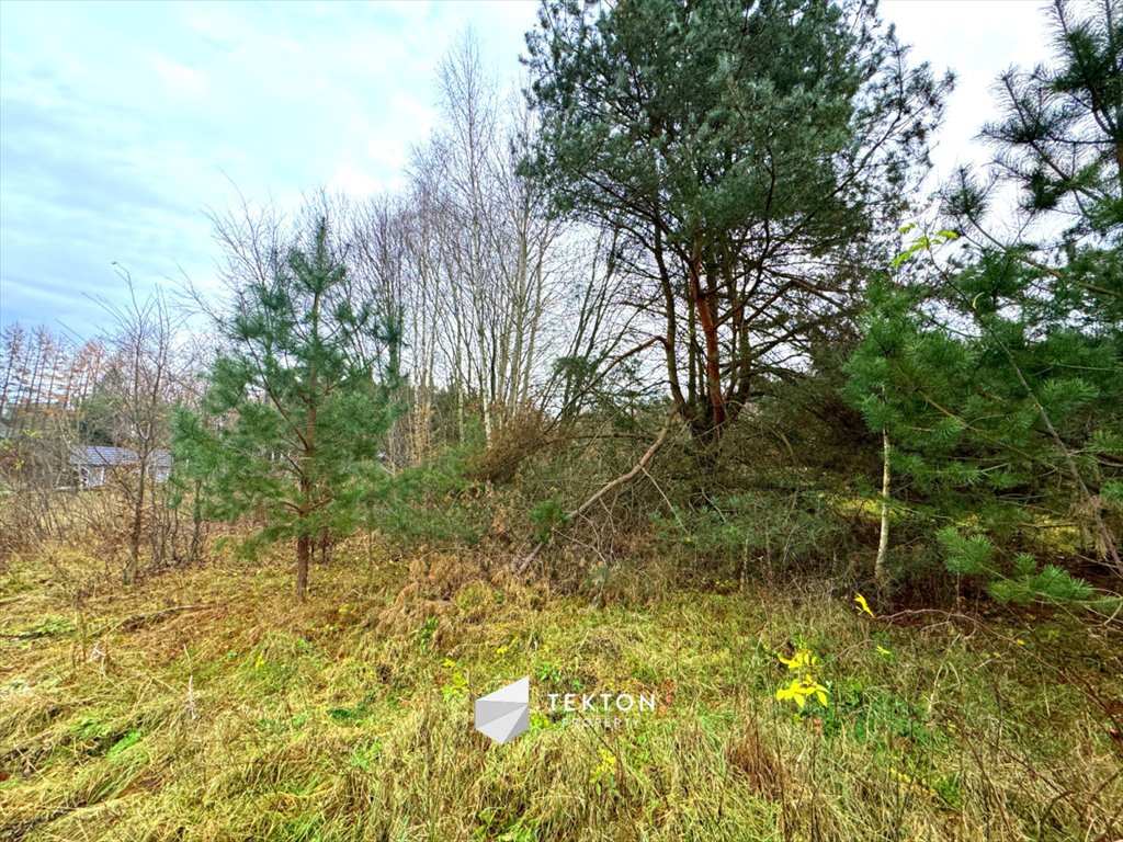 Działka budowlana na sprzedaż Mikorowo  1 271m2 Foto 9