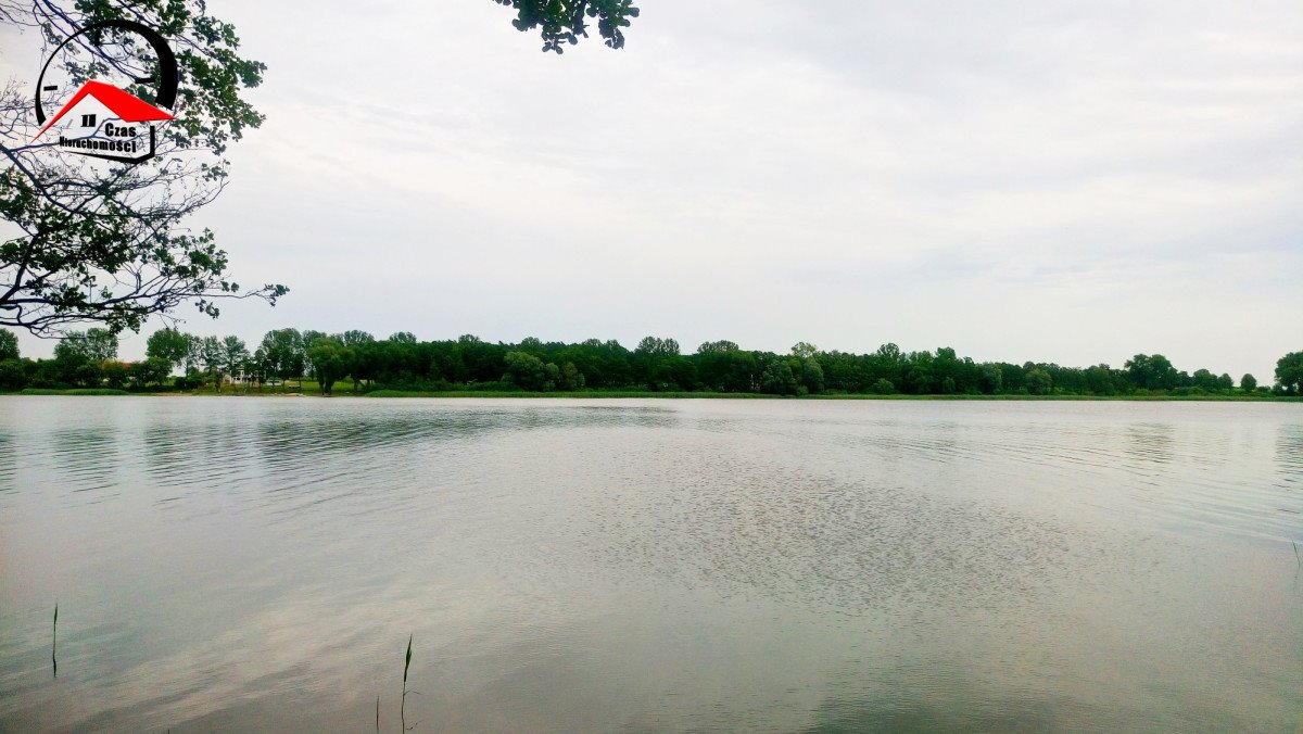 Działka gospodarstwo rolne na sprzedaż Radoszewice  3 000m2 Foto 2