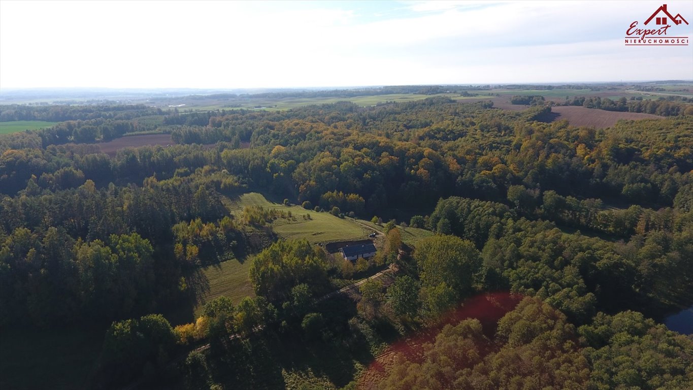 Działka inna na sprzedaż Kajkowo, Cibory  1 636m2 Foto 4