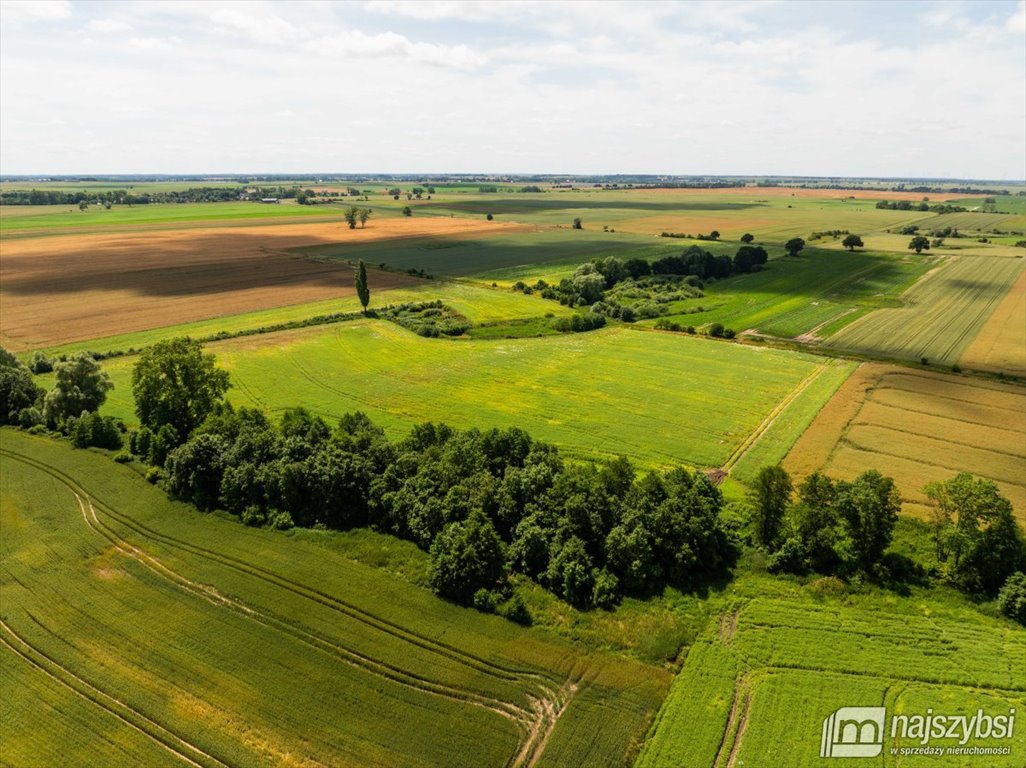 Działka rolna na sprzedaż Obromino  21 701m2 Foto 12