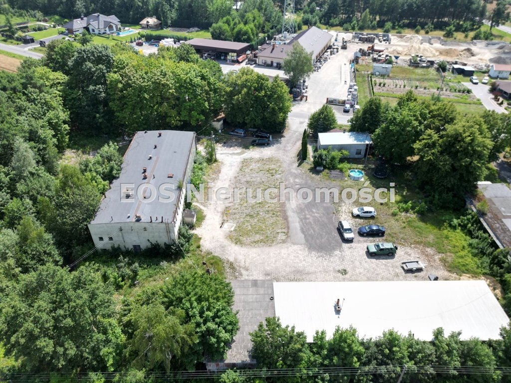 Lokal użytkowy na sprzedaż Świerszczów-Kolonia  740m2 Foto 3