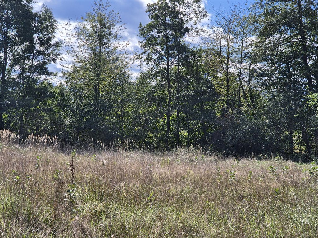 Działka budowlana na sprzedaż Harklowa  6 600m2 Foto 1