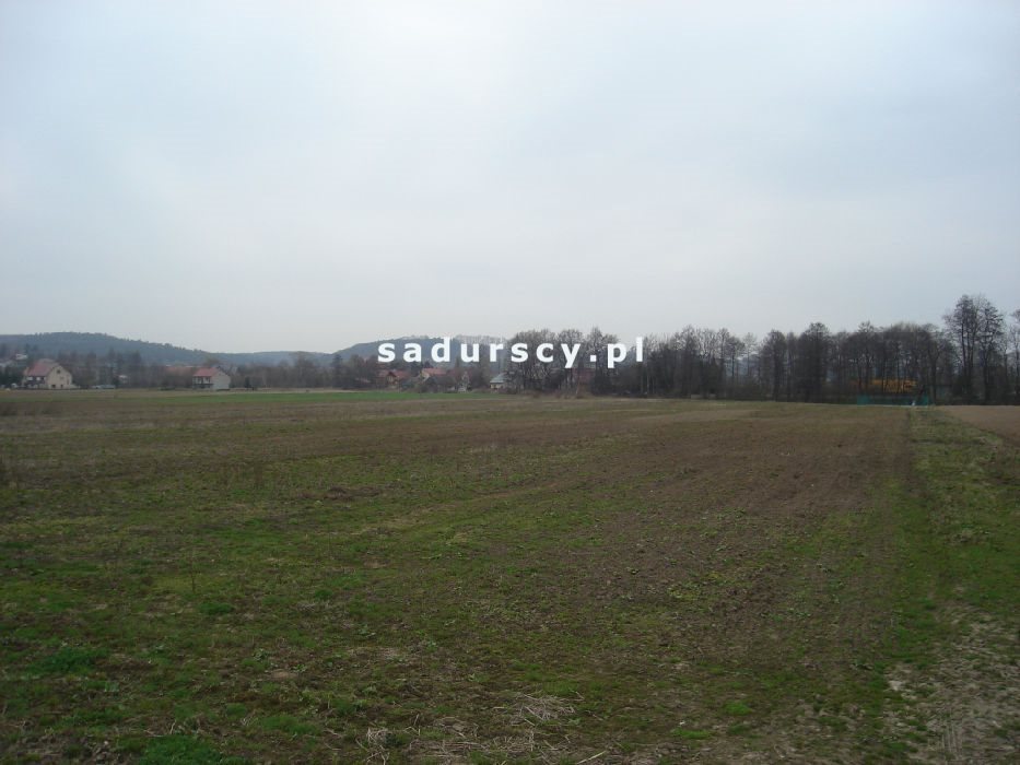 Działka inwestycyjna na sprzedaż Morawica  10 000m2 Foto 6