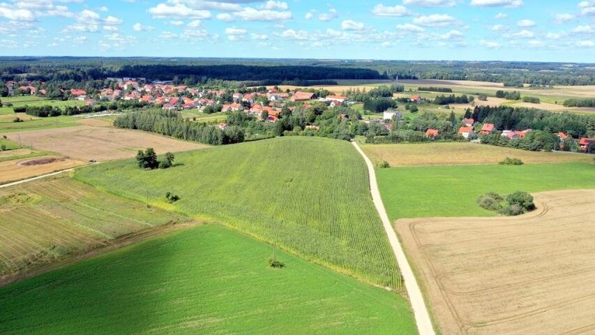 Zdjęcie 3
