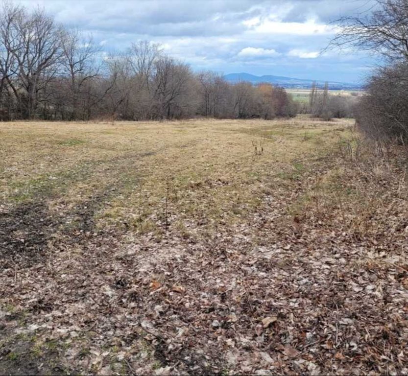 Działka 7588 m² z widokiem na Masyw Ślęży - polecam Bielawa  7 588m2 Foto 1
