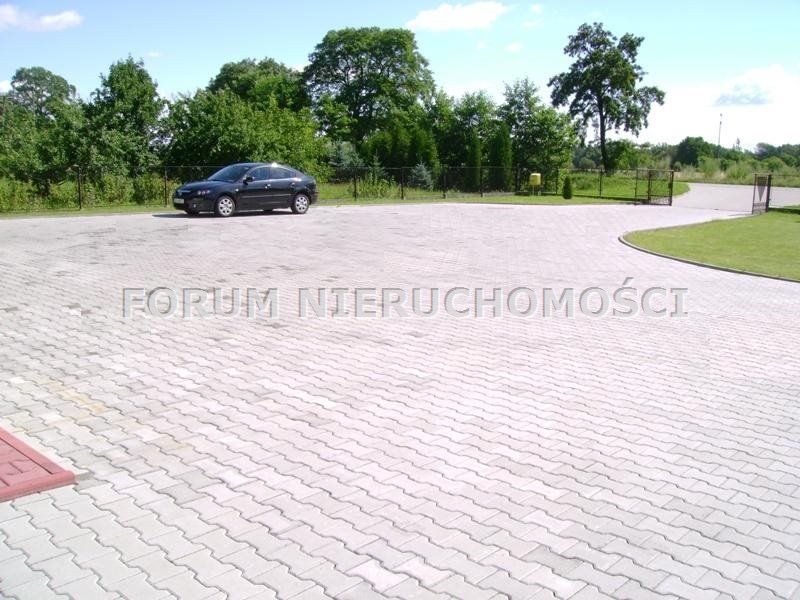 Zdjęcie 6