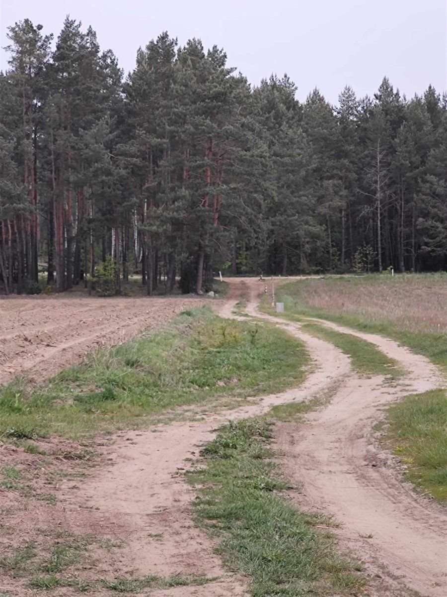 Działka budowlana na sprzedaż Trypucie  7 000m2 Foto 3